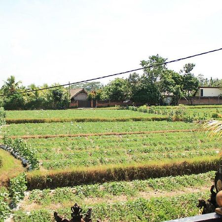 Ancut Sari Hotel Ubud Eksteriør billede