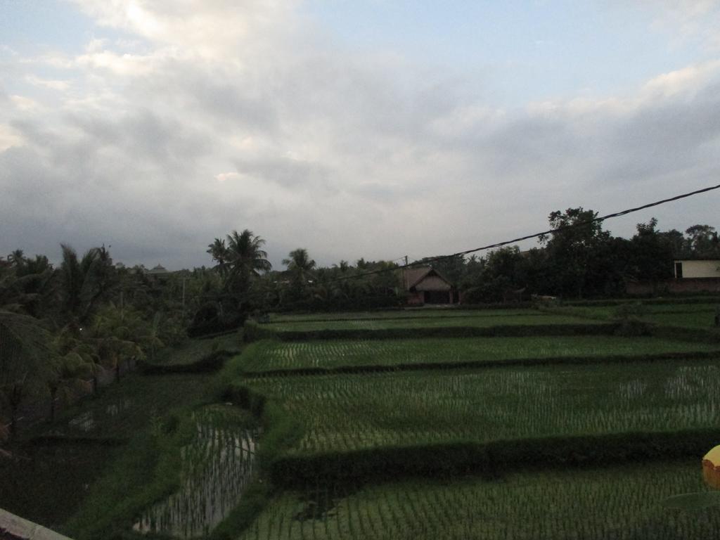 Ancut Sari Hotel Ubud Eksteriør billede