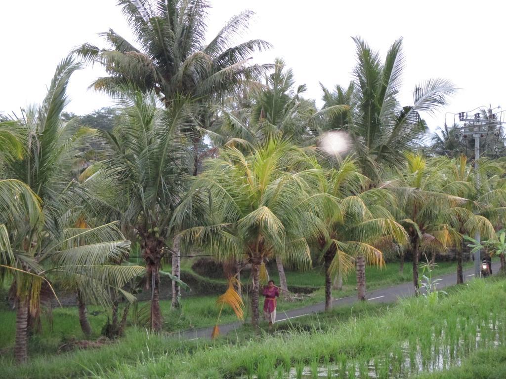 Ancut Sari Hotel Ubud Eksteriør billede