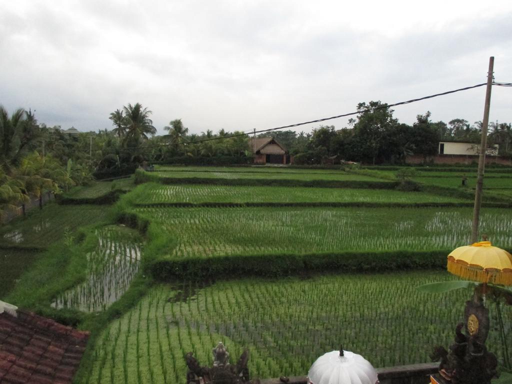 Ancut Sari Hotel Ubud Eksteriør billede