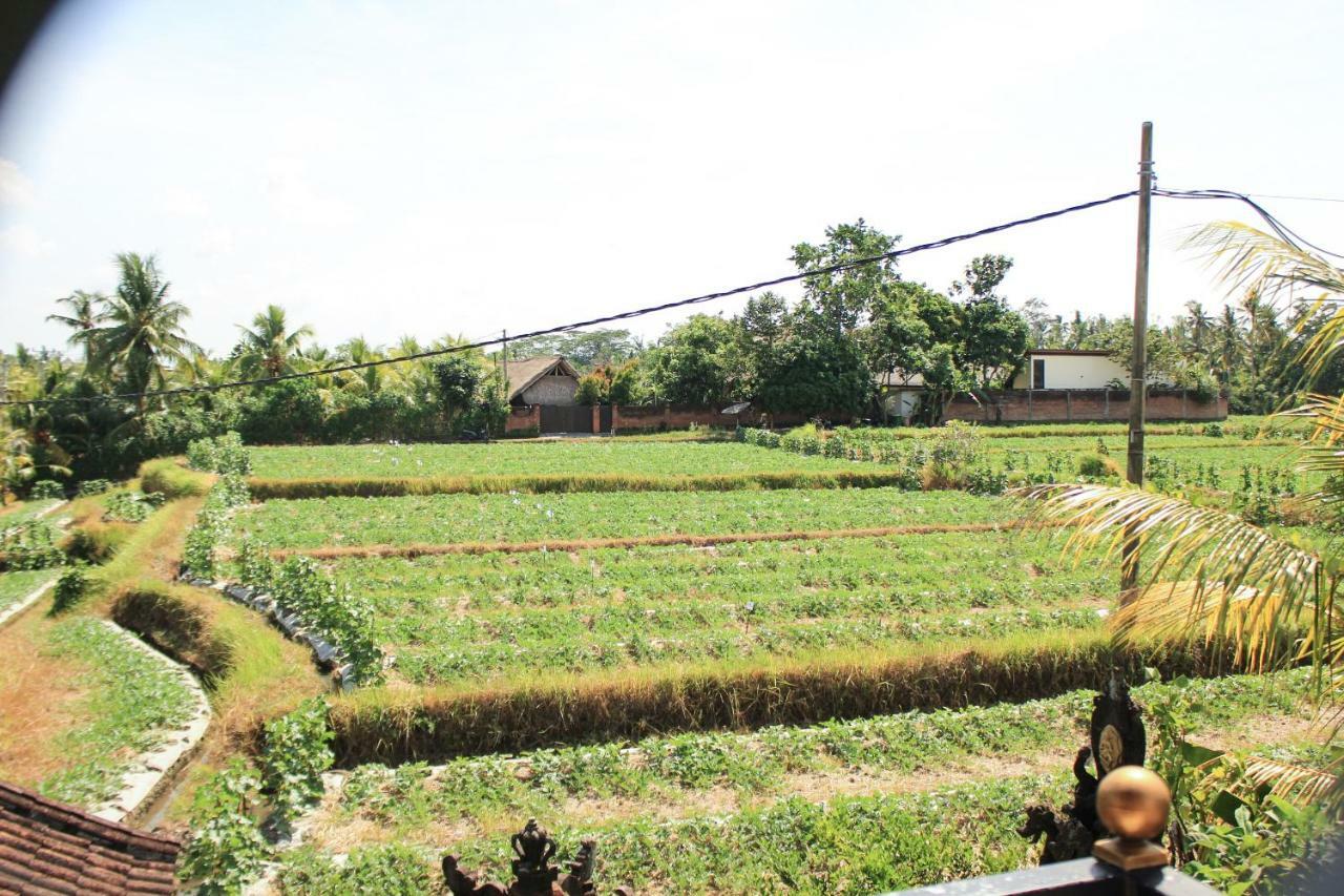 Ancut Sari Hotel Ubud Eksteriør billede